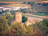 Alsbach 0014