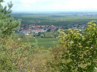 Leininger Land 0030