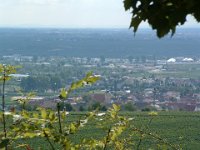 Leininger Land 0031