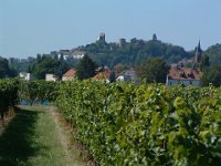 Leininger Land 0036