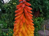 Natur 0006
