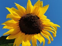 Natur 0010