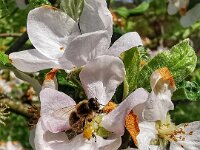 Natur 0015