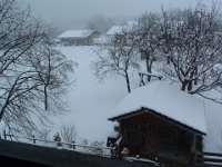 Staffelsee 0004