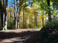 Weinheim 0016