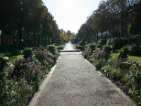 Worms 0015