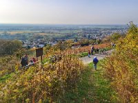 Zwingenberg 0008