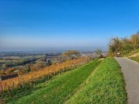 Zwingenberg 0012