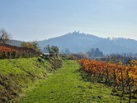 Zwingenberg 0017
