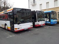 Neustadt Weinstrasse 0004