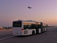 CityBus 0012