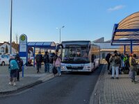 Stroh Bus 0009