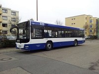 Palatina_0003