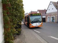 rnv Bus 0015 01/2016, Ellerstadt 