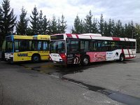 V-Bus Omnibus Beth