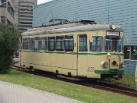 Feuriger Elias in MA 2016 0014 06/2016, Foto: J. Niemeyer