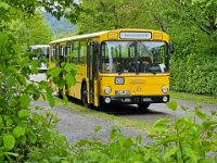 Wein am See 2024 0015
