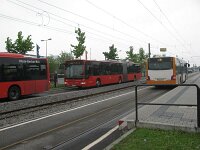 Maimarkt 2013 0001