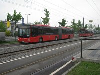 Maimarkt 2013 0007