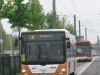 Maimarkt 2013 0018